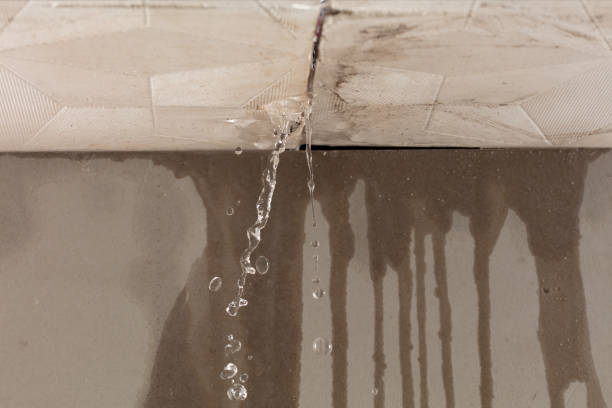 Professional Water Damage Repair technician working in Lakewood, WA